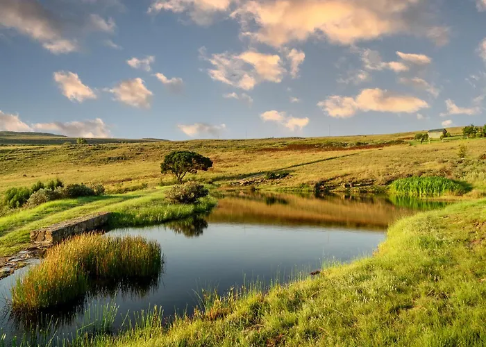 Moonlight Meadows Just Outside Dullstoom