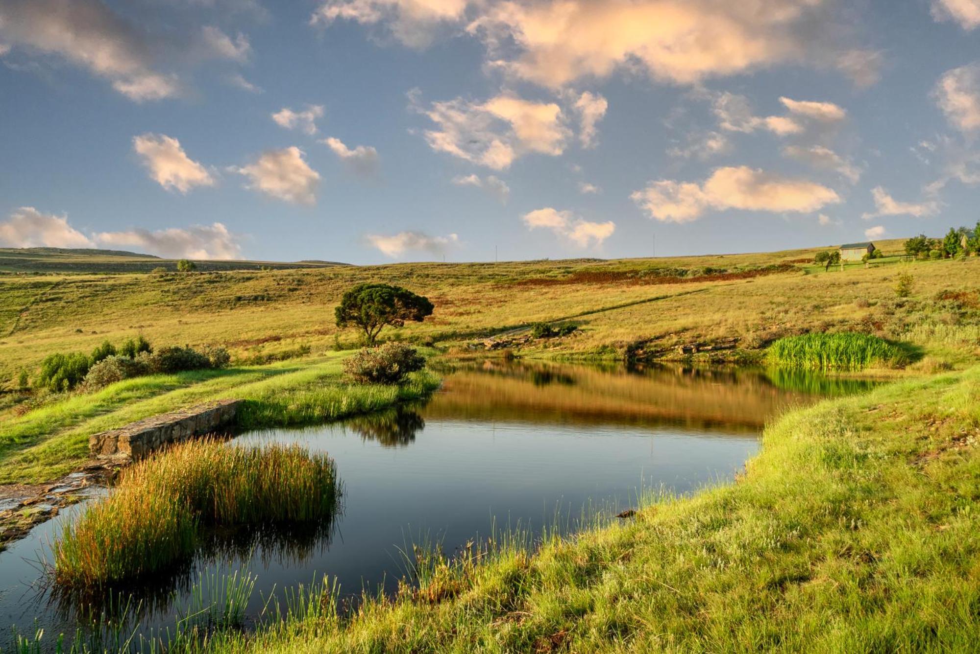 Moonlight Meadows Just Outside Dullstoom *